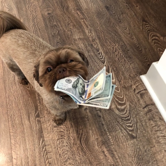 Meet your Posher, Amanda - Picture 2 of 2